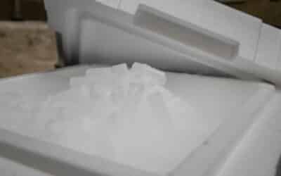 Achat de glace carbonique au Luxembourg : guide pour un choix sécurisé